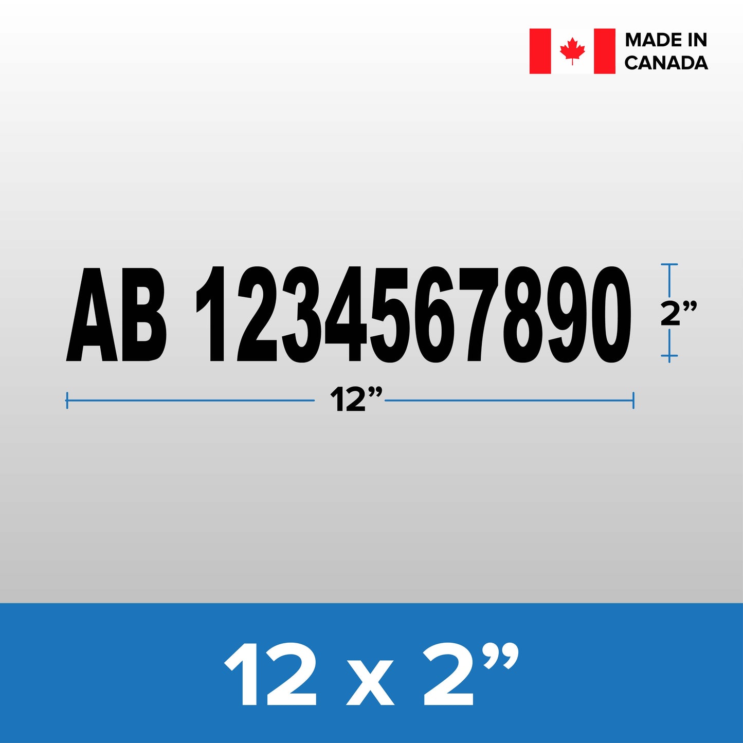 Boat License Decal