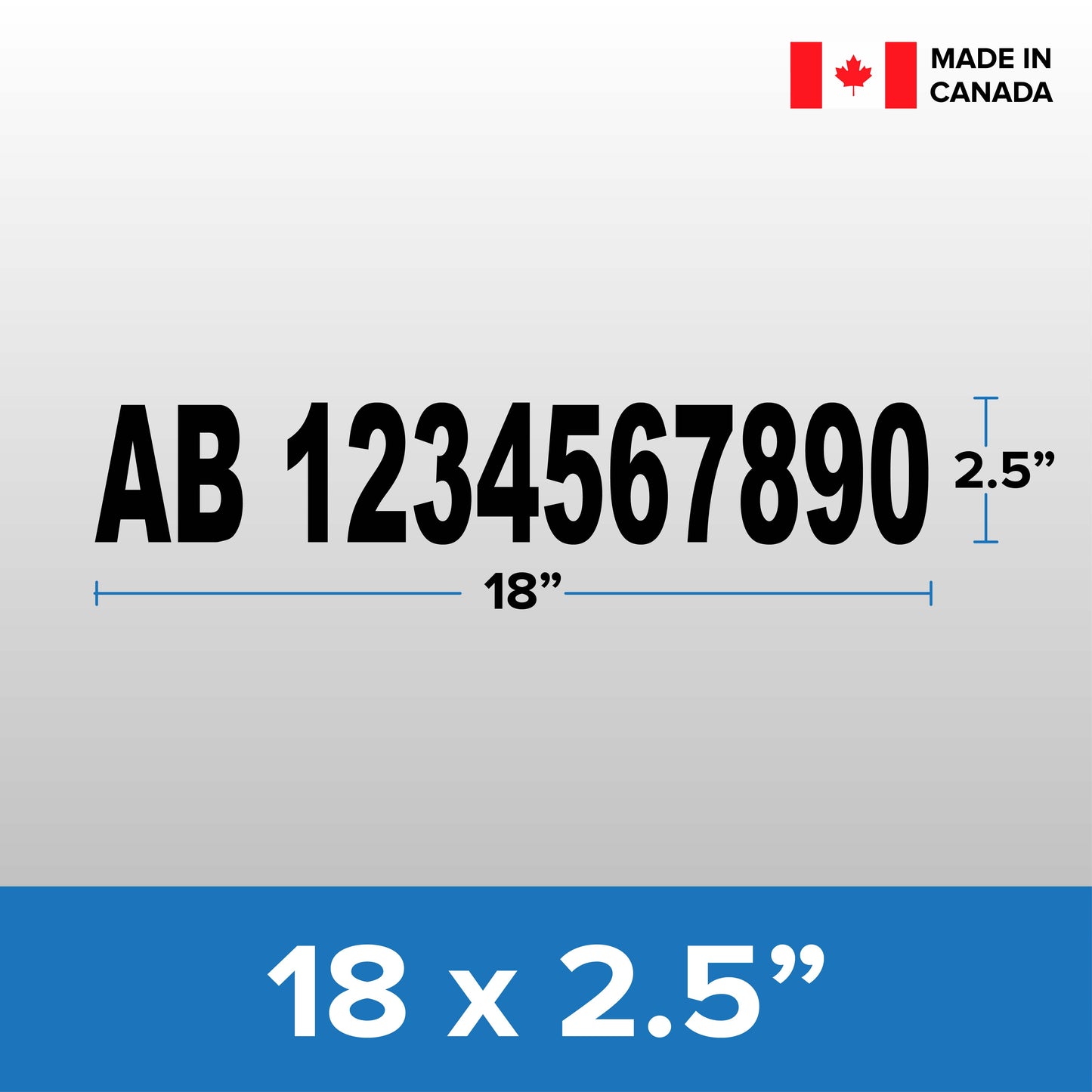 Boat License Decal